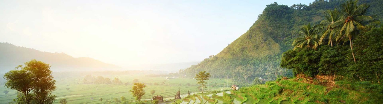 Banner-Big_Aplle_Sunshine_State Reisekombination New York Florida